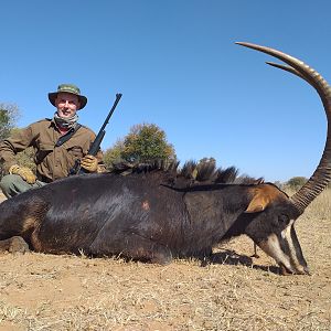 Sable at Meletsi Game Reserve