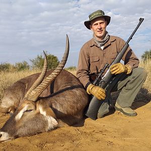 Waterbuck at Sandveld Nature Reserve