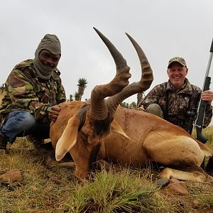 Red Hartebeest Hunt South Africa