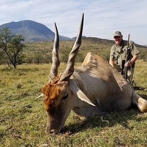 Eland Hunting South Africa