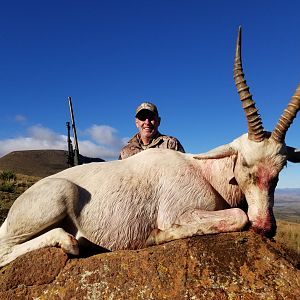 Hunting White Blesbok in South Africa