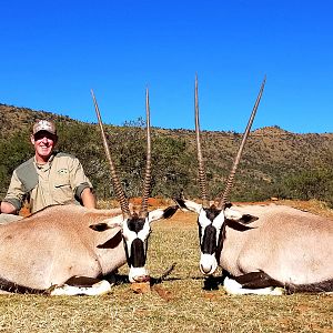 Gemsbok Hunt South Africa