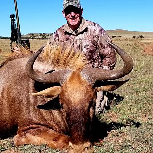 South Africa Hunting Golden Wildebeest