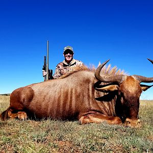 Hunt Golden Wildebeest in South Africa