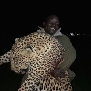 Leopard Hunting Zimbabwe