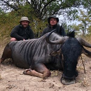 Zimbabwe Hunt Blue Wildebeest