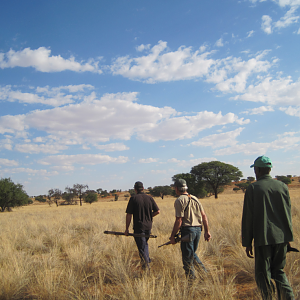 Springbok Hunt Namibia