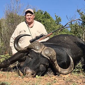 Buffalo Hunting South Africa