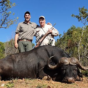 South Africa Hunt Cape Buffalo