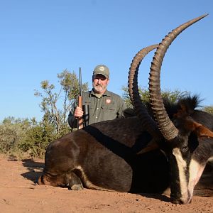 Hunt Sable Antelope in South Africa