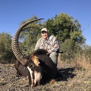 Hunting Sable in South Africa