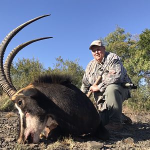 Sable Antelope Hunt South Africa