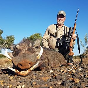 South Africa Hunting Warthog