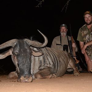 Blue Wildebeest Hunting South Africa