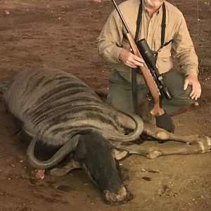 South Africa Hunt Blue Wildebeest