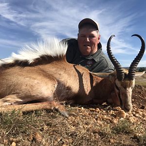 Hunting Springbok in South Africa