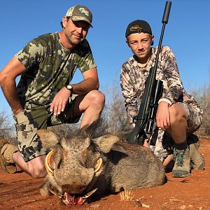 Namibia Hunting Warthog