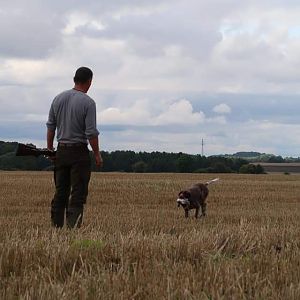 Hunting over a Pointing dog