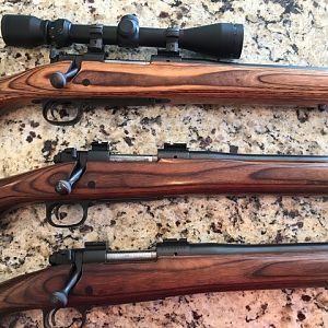 25, 243 & 223 WSSM Winchester Model 70 Coyote Rifles