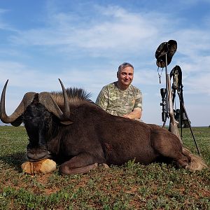 Black Wildebeest Hunting South Africa