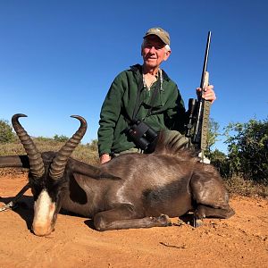 Black Springbok Hunting South Africa