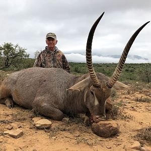 Waterbuck Hunt South Africa