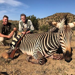 Hartmann's Mountain Zebra Hunting South Africa