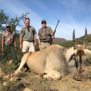 South Africa Hunt Eland