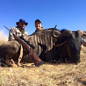 Blue Wildebeest Hunting South Africa