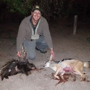 African Porcupine & Jackal Hunt South Africa