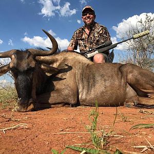 Hunting Blue Wildebeest in South Africa