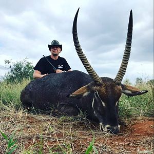 Hunt Waterbuck in South Africa