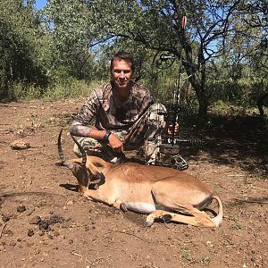 Impala Bow Hunt South Africa