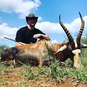 Blesbok Hunting South Africa