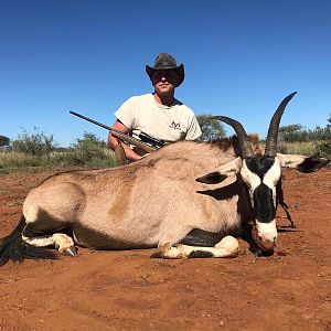 Gemsbok Hunting South Africa