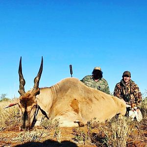 Hunting Eland in South Africa