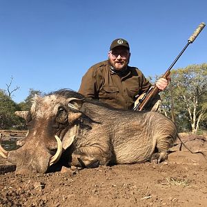 Warthog Hunt South Africa