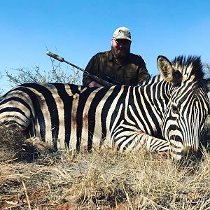 Burchell's Plain Zebra Hunting South Africa