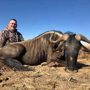 Blue Wildebeest Hunt South Africa