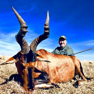 Hunt Red Hartebeest in South Africa