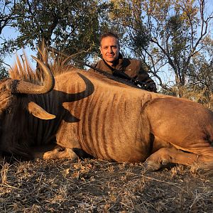 Hunt Golden Wildebeest in South Africa