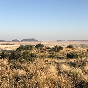 Hunting Area in South Africa