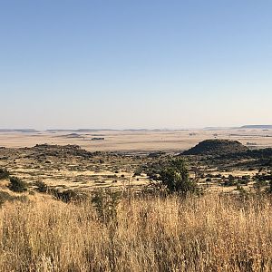 Hunting Area South Africa