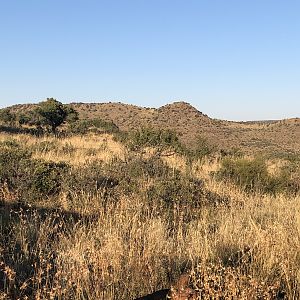 Hunting Area in South Africa