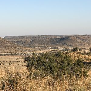 Hunting Area South Africa