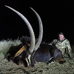 Hunting Sable Antelope in South Africa