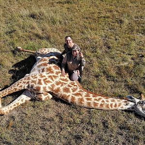 Giraffe Hunt South Africa