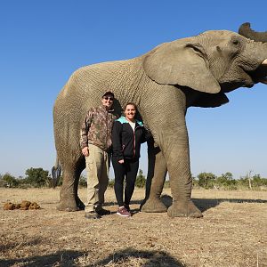 Elephant interaction in South Africa