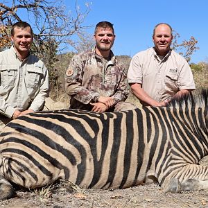 Zimbabwe Hunt Burchell's Plain Zebra