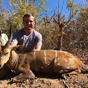 Zimbabwe Hunting Bushbuck